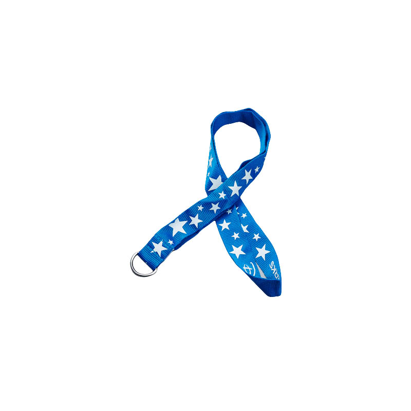 Lanyard