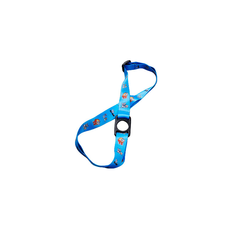 Lanyard