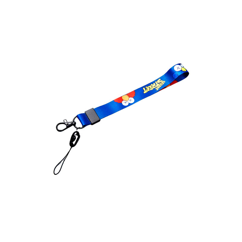 Lanyard