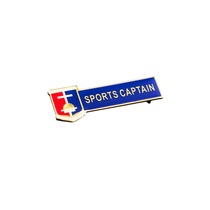 School Badge